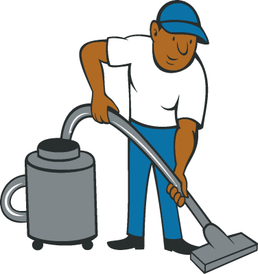 Mr Blow the Carpet Pro
