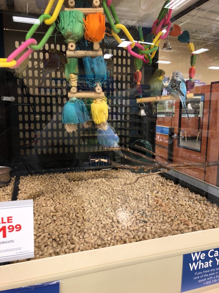 PetSmart Pet Stores 12264 Chattanooga Plz, Midlothian, VA Phone