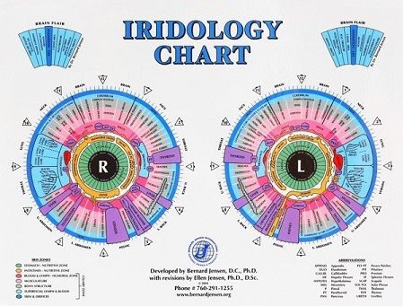 Iridology Chart Yelp