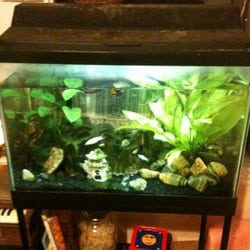 Museum of Natural and Artificial Ephemerata - 10 Reviews ...