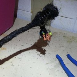 P O Of Emergency Plumbers Good Guys Oak Park Il United States Hair P O Of Emergency Plumbers Good Guys Oak Park Il United States Hair