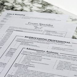 michele lando professional resume writer 23 reviews editorial