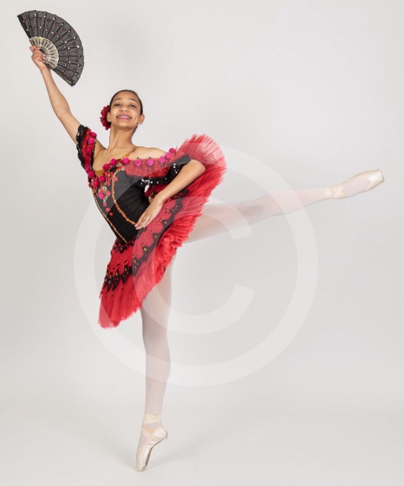 The Academy of Russian Ballet