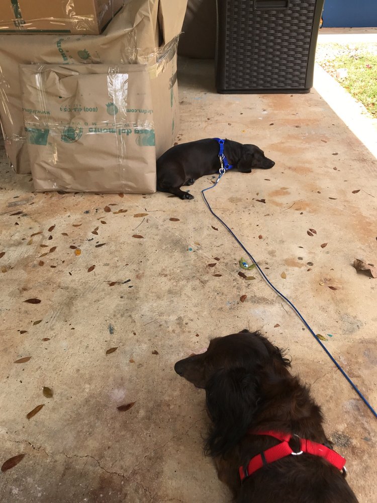 La Rosa del Monte 13 Reviews Movers Carretera 2 Km 19.6, Toa Baja, Puerto Rico Phone