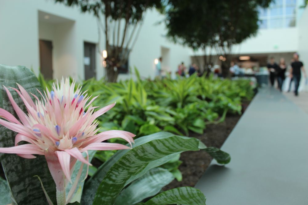 image of business Care Plant Inc.