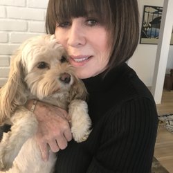 rossway dog training