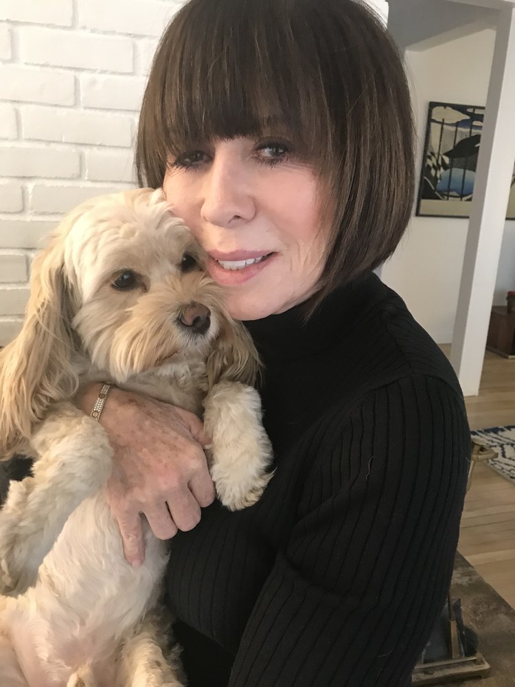 mulberry farms cockapoo