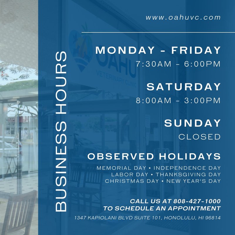 OAHU VETERINARY CLINIC 25 Photos & 28 Reviews 1347 Kapiolani Blvd