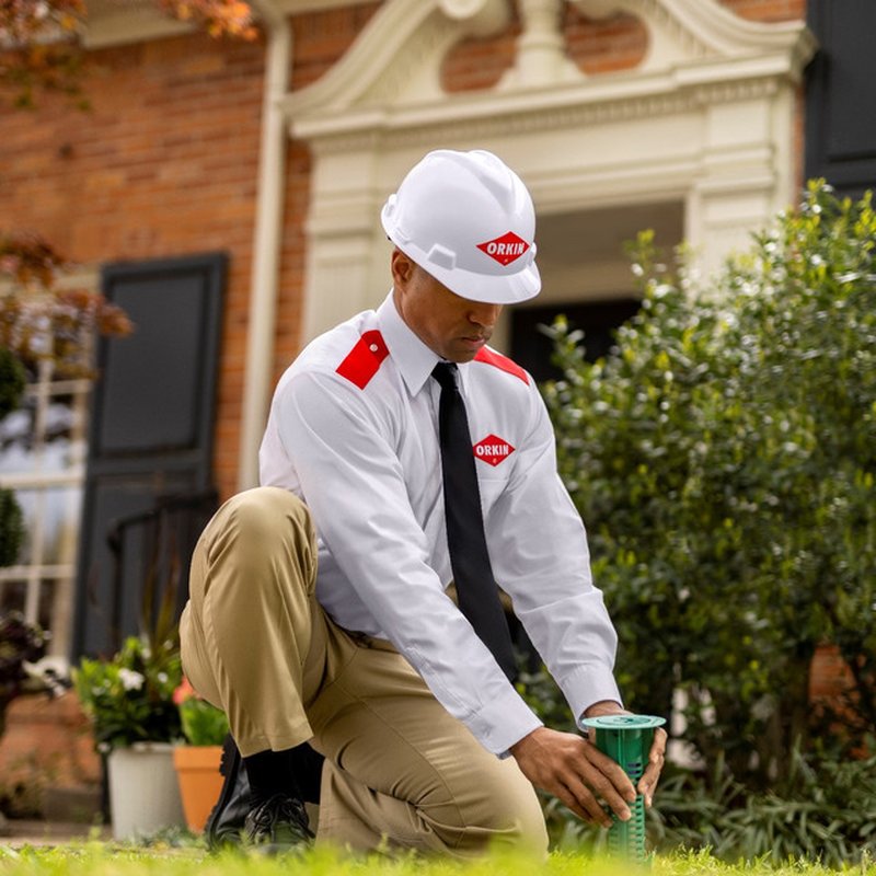 ORKIN Pest Control 10101 Leadbetter Pl, Ashland, VA Phone Number