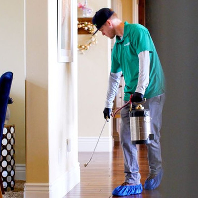 HOMESHIELD PEST CONTROL 149 Photos & 37 Reviews Los Angeles, CA Yelp