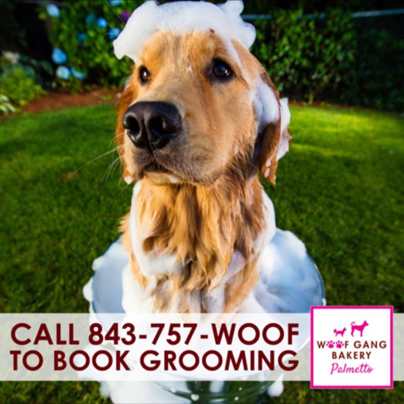 WOOF GANG BAKERY & GROOMING PALMETTO 45 Photos 7 Lawton St