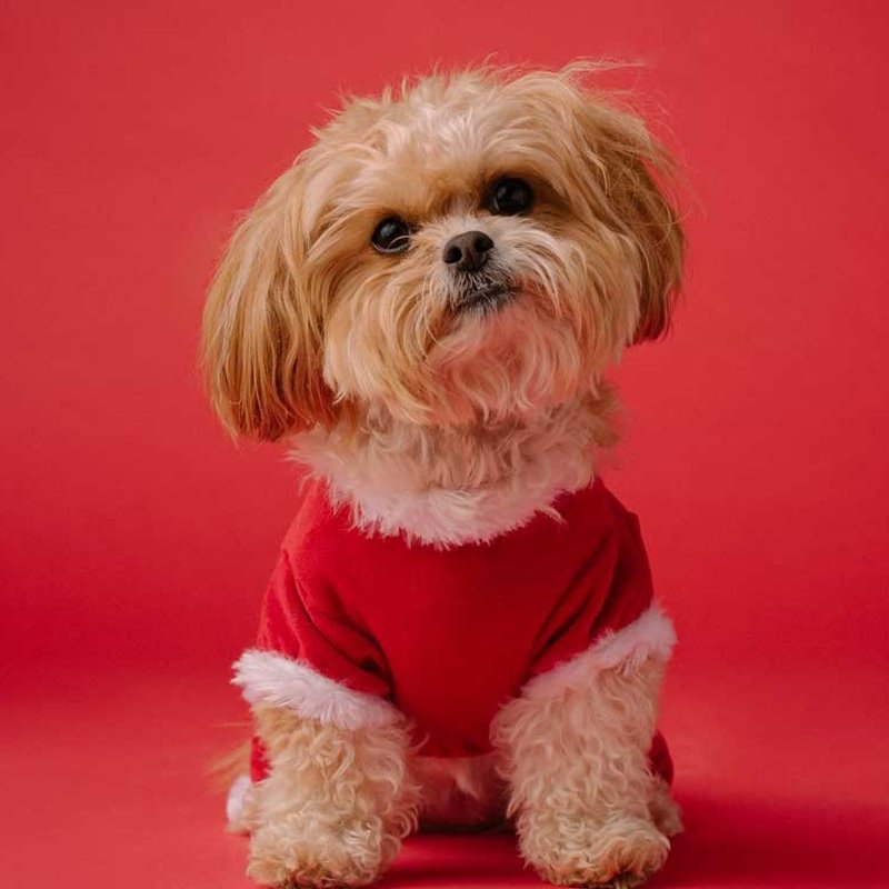 PET FAIR 158 Photos & 82 Reviews 1201 Lake Woodlands Dr, Spring, TX