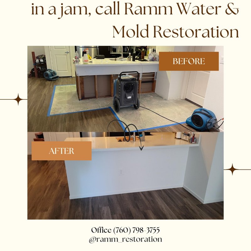 RAMM WATER & MOLD RESTORATION 13 Photos Damage Restoration 310