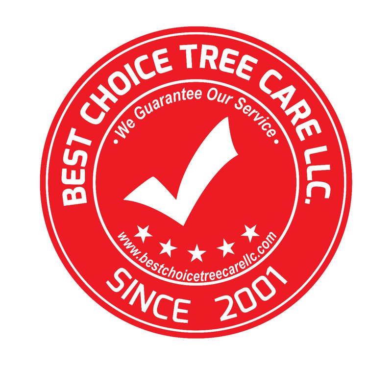 BEST CHOICE TREE CARE 29 Photos Arlington, TX Yelp