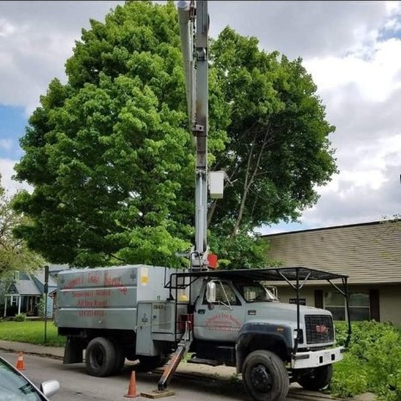 JOHNSON’S TREE SERVICE 32 Photos 1300 Brown Rd, Columbus, OH Yelp