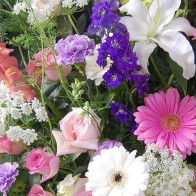 WOOD’S FLOWERS AND GIFTS 98 Photos & 35 Reviews 9223 Baltimore Ave, College Park, MD Yelp