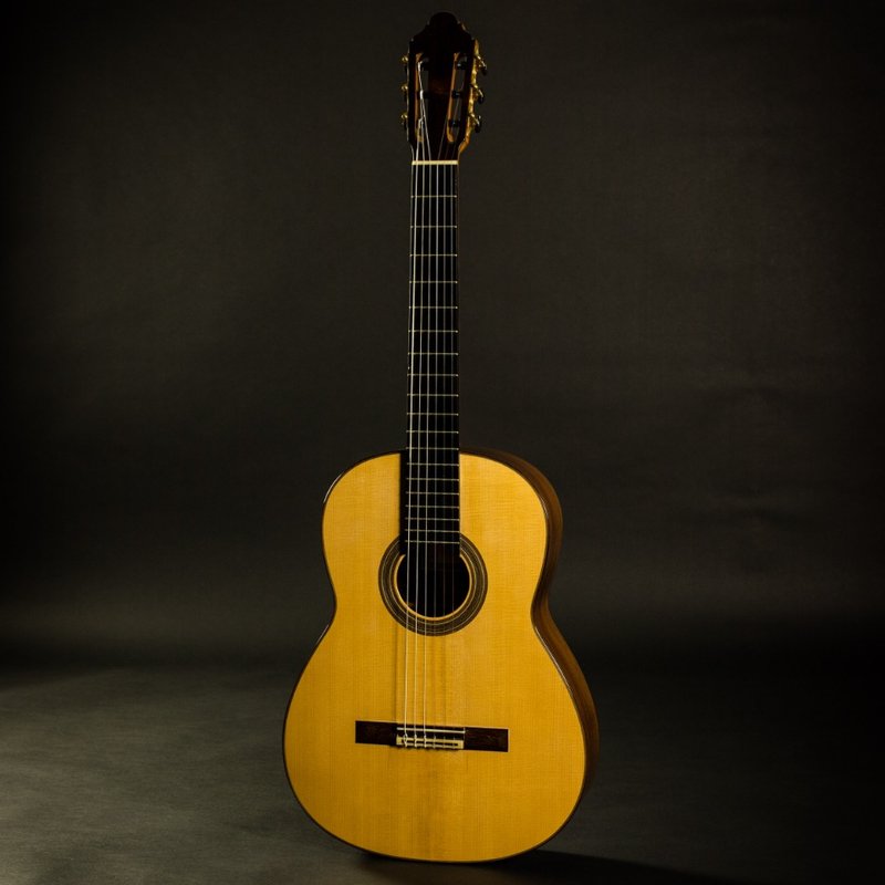 SAVAGE CLASSICAL GUITAR 54 Photos 385 Central Ave, Bohemia, NY Yelp