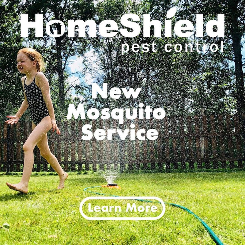 HOMESHIELD PEST CONTROL 181 Photos & 37 Reviews El Dorado Hills, CA