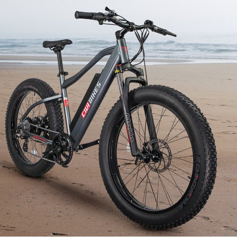 ISLAND CRUISERS BIKE RENTAL 15 Photos & 20 Reviews 59B New Orleans