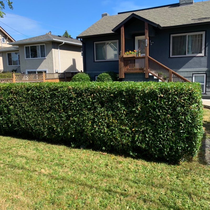 SOL LANDSCAPING 11 Photos 2456 Selwyn Road, Langford, BC Yelp