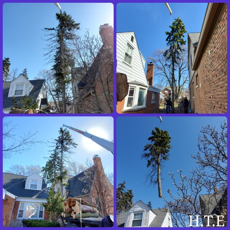 HUBER TREE EXPERT 92 Photos & 13 Reviews Tree Services 1622 S