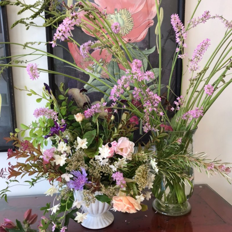 FRESHLY CUT FLORIST 42 Photos & 41 Reviews 378 Colusa Ave