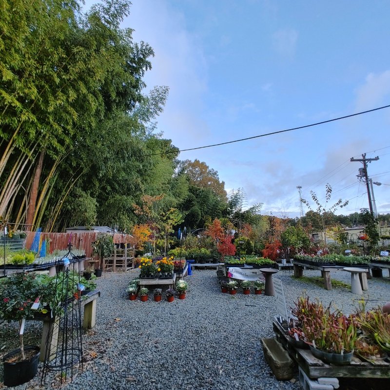 DURHAM GARDEN CENTER 20 Photos & 24 Reviews Nurseries & Gardening