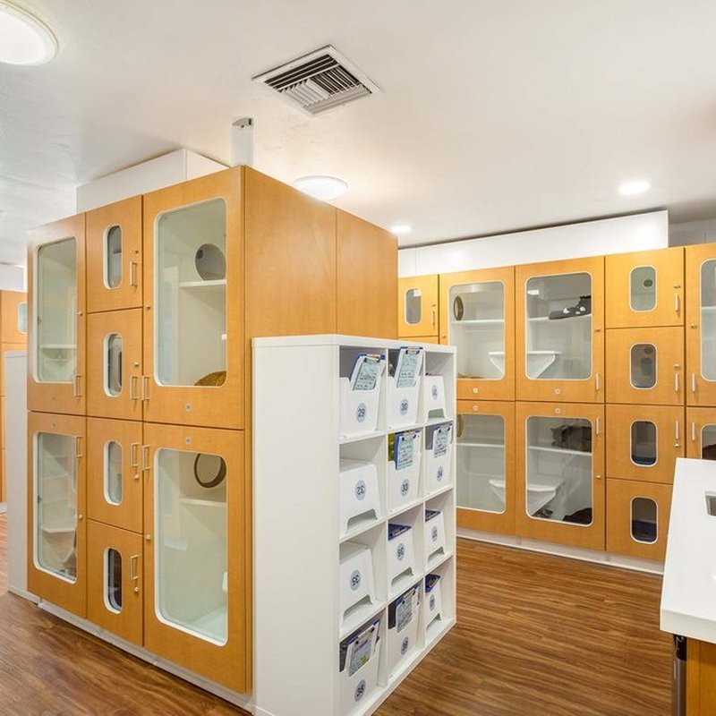 SPRING CREEK KENNEL & CATTERY 107 Photos & 105 Reviews 9279 Campo