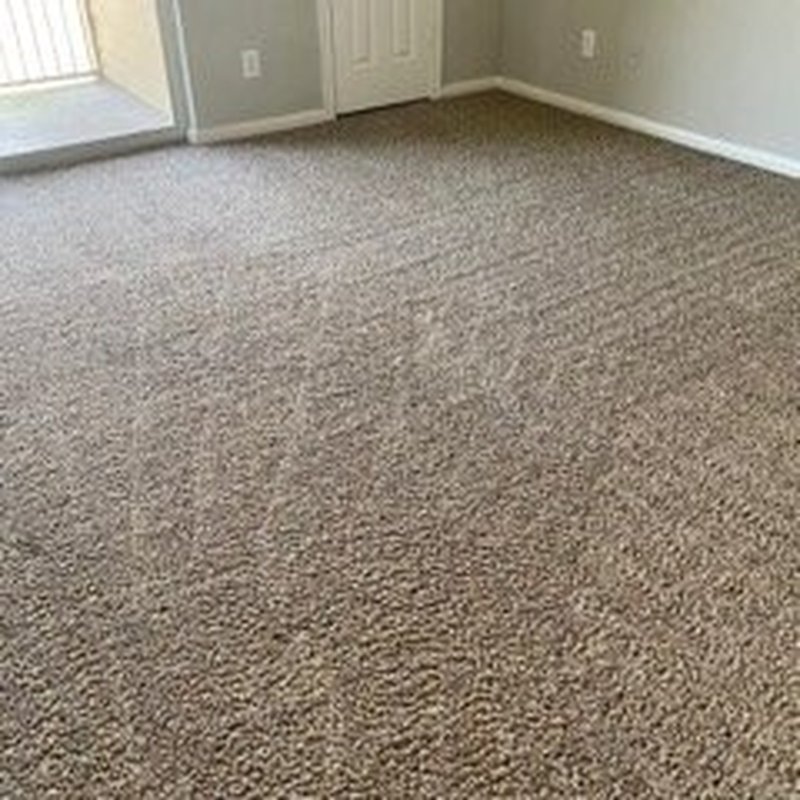 JETTY CARPET CLEANING 27 Photos & 17 Reviews 4221 Wells Dr