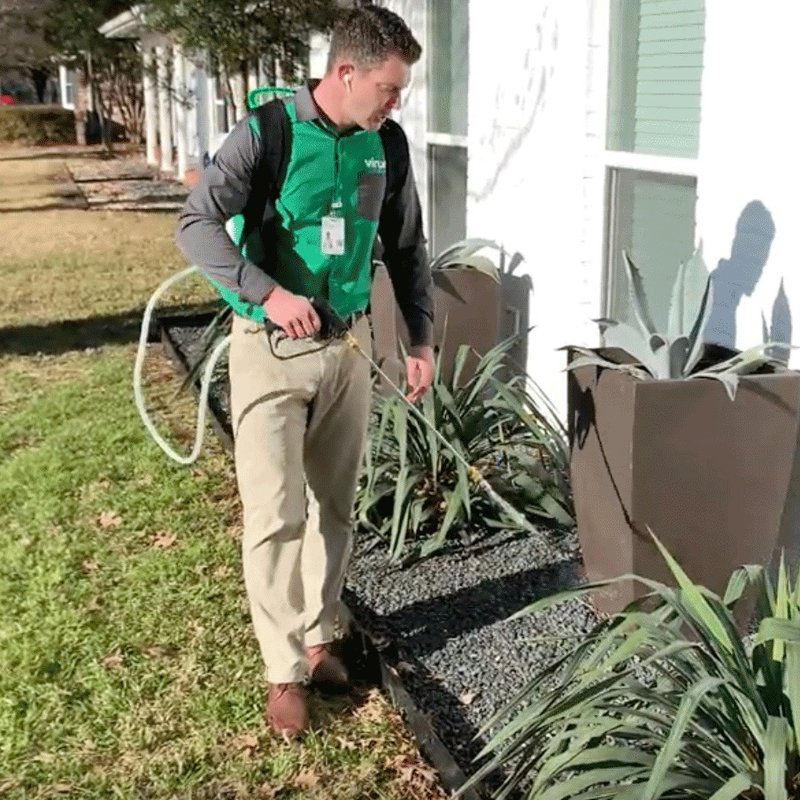 VINX PEST CONTROL 28 Photos & 18 Reviews North Charleston, SC Yelp