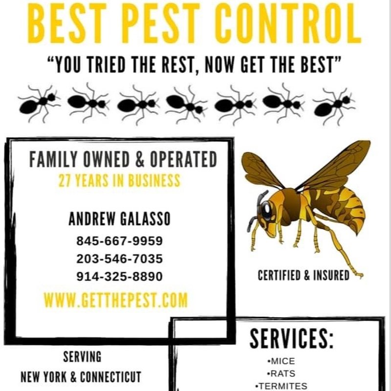 BEST PEST CONTROL 96 Photos & 14 Reviews Brewster, NY Yelp