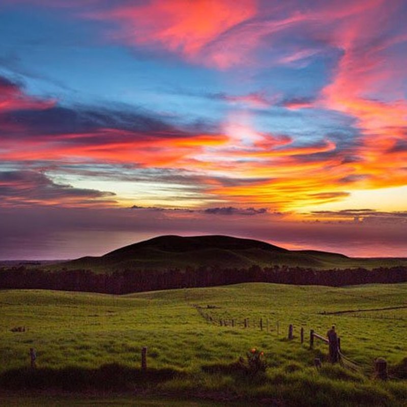 PANIOLO SUNSET BBQ DINNER AT KAHUA RANCH 71 Photos & 28 Reviews 59