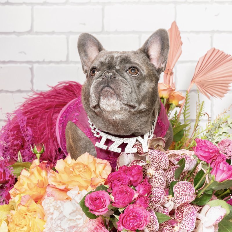 TWILA TRUE FINE JEWELRY & WATCHES 20 Photos 3000 S Las Vegas Blvd