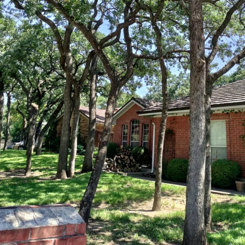 VALDEZ TREE SERVICE 165 Photos Fort Worth, TX Yelp