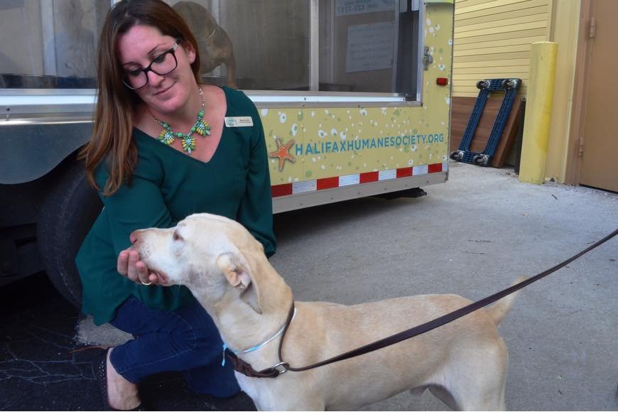 Halifax Humane Society Thrift Store Thrift Stores 333 W Granada