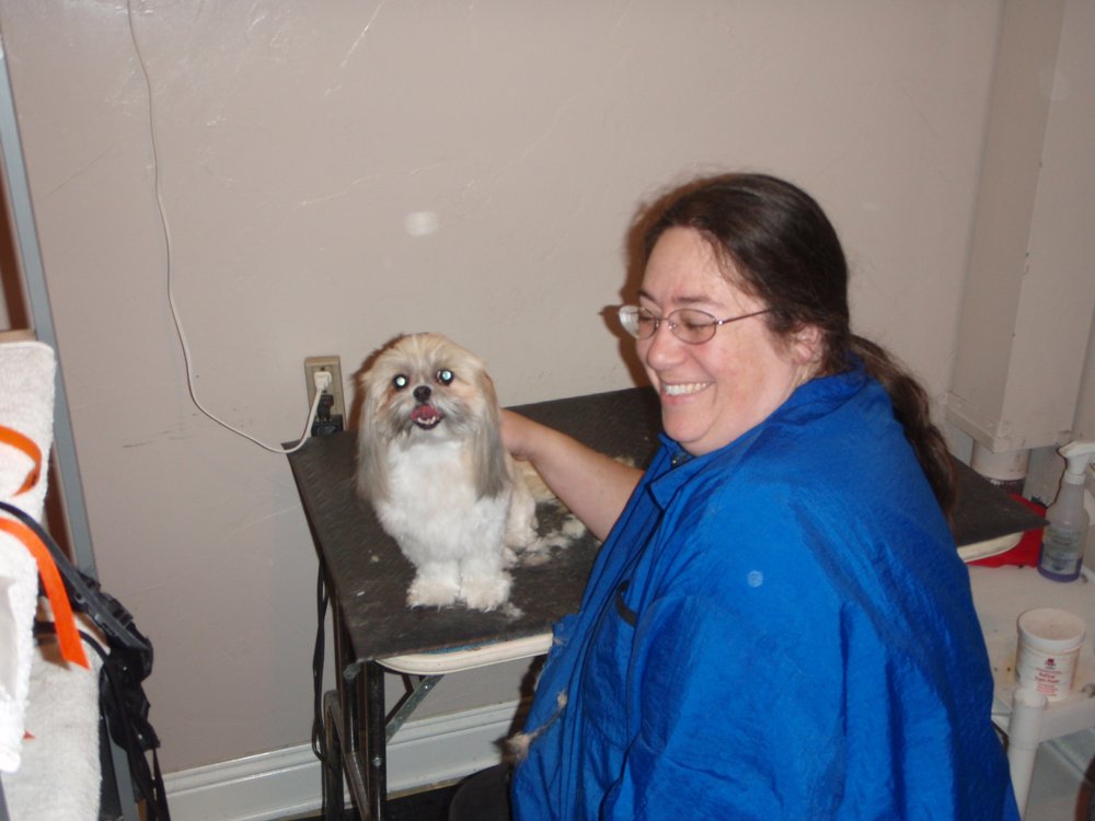 Dog Grooming School Boise Id Dog Grooming School Boise Id