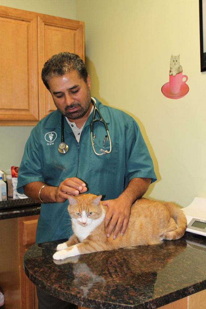 Bowes Animal Hospital 11 Photos & 12 Reviews Veterinarians 2375