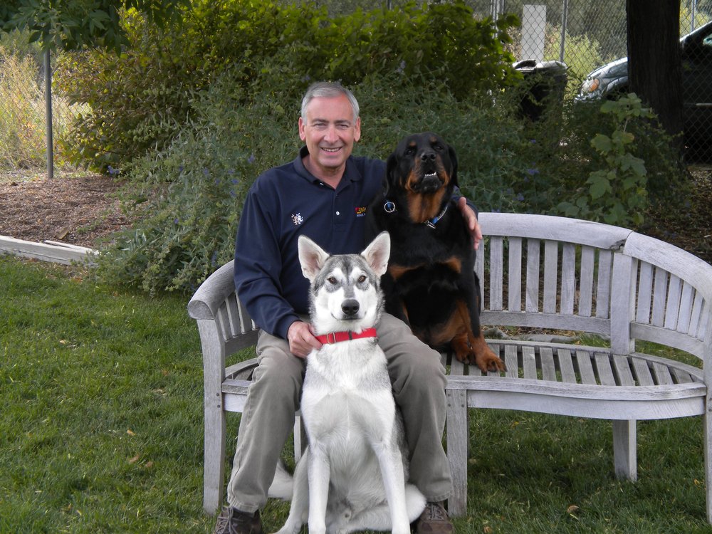 Bark Busters Home Dog Training Orange County Bark Busters Home Dog Training Orange County