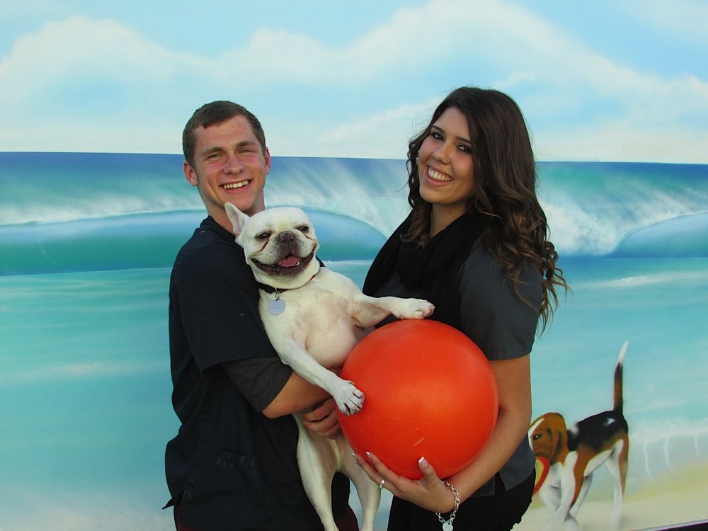 Back Bay Veterinary Newport Beach Back Bay Veterinary Newport Beach