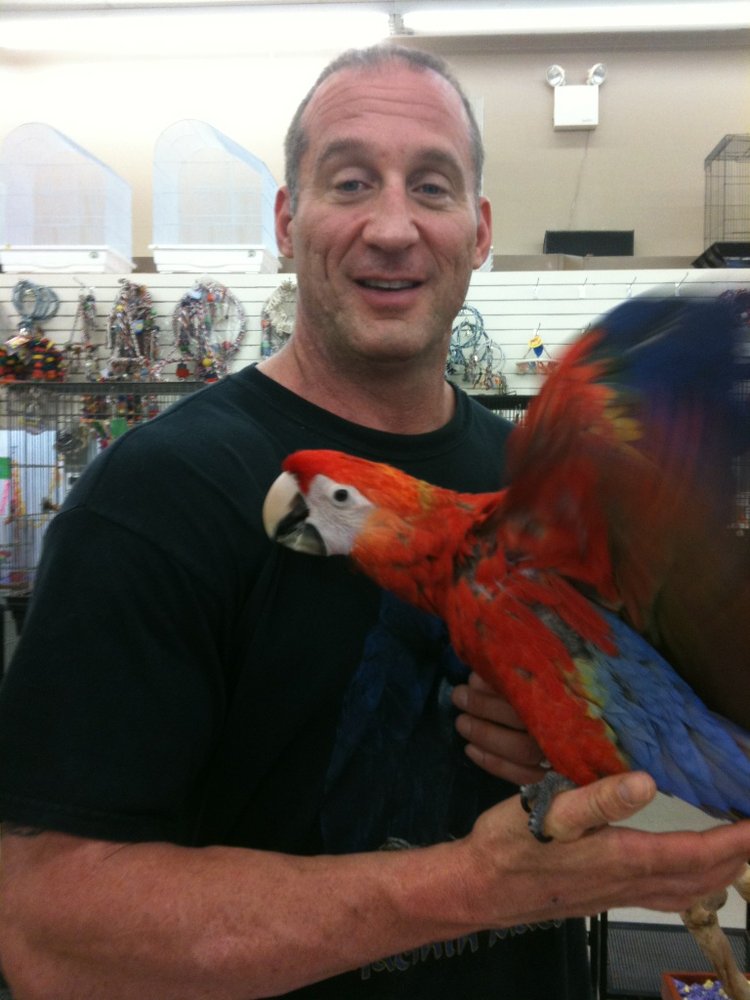Todd Marcus Birds Exotic 97 Photos & 16 Reviews Pet Stores 1060 S