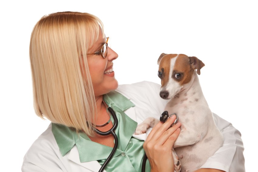 Vacaville Animal Care Center 83 Photos & 31 Reviews Veterinarians