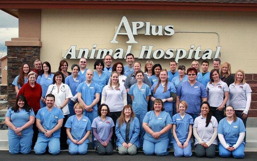 A Plus Animal Hospital 44 Photos & 106 Reviews Veterinarians 7450