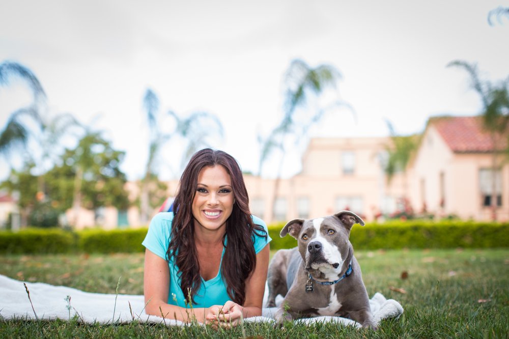 Academy For Dog Trainers Reviews Academy For Dog Trainers Reviews