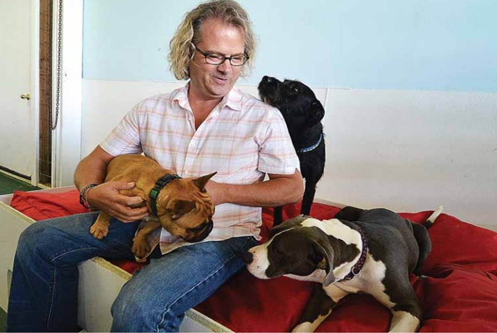 Dog Gone Smart Norwalk Ct Reviews Dog Gone Smart Norwalk Ct Reviews