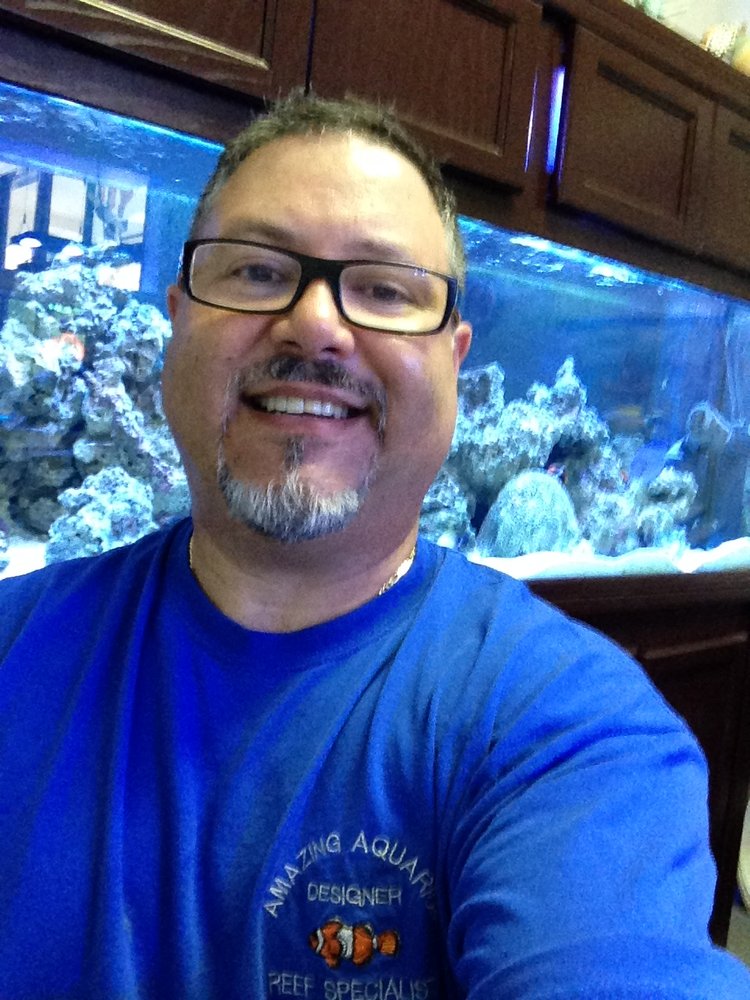 Amazing Aquariums 26 Photos Aquarium Services 2330 S Nova Rd Ad C