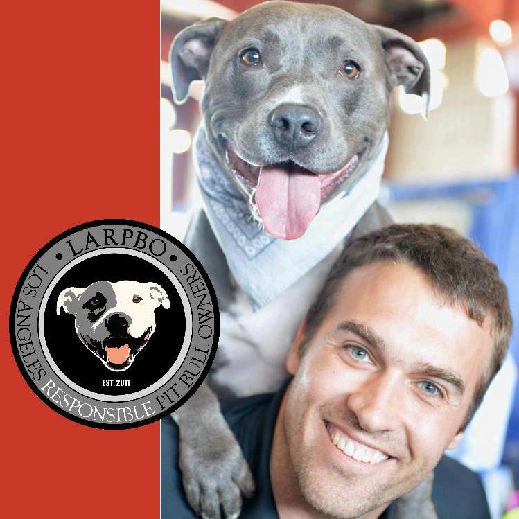 responsible pit bull ownership Chicago bears running back matt forte is a dog-lover who sees past stereotypes one of his two dogs is a three-year-old bully breed named ali many people fear pit bulls as ill-tempered and violent animals due to the breed’s popularity in dog fighting, which is an illegal blood sport in the. responsible pit bull ownership Chicago bears running back matt forte is a dog-lover who sees past stereotypes one of his two dogs is a three-year-old bully breed named ali many people fear pit bulls as ill-tempered and violent animals due to the breed’s popularity in dog fighting, which is an illegal blood sport in the.