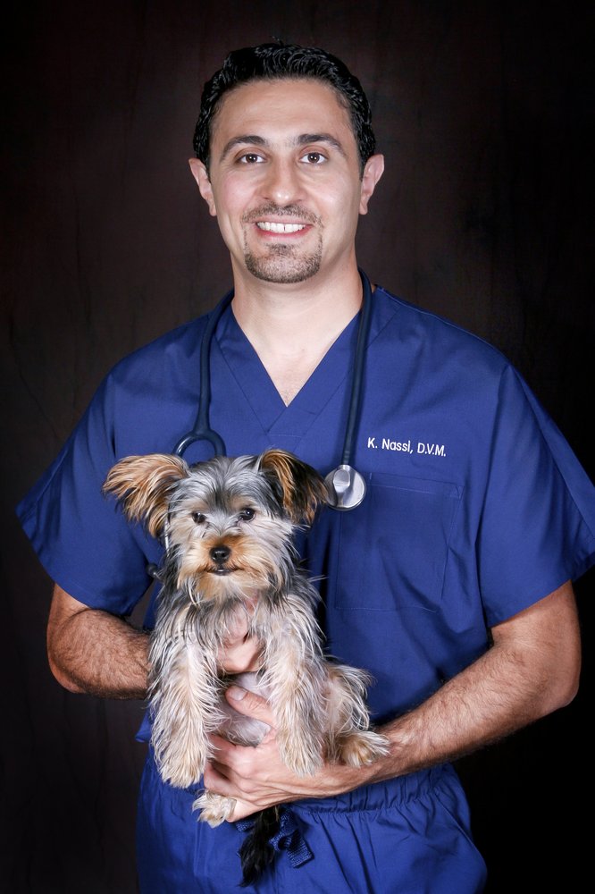 Beverly Robertson Veterinary Clinic Veterinarians 56 Photos Kamran N Of Beverly Robertson Veterinary Clinic