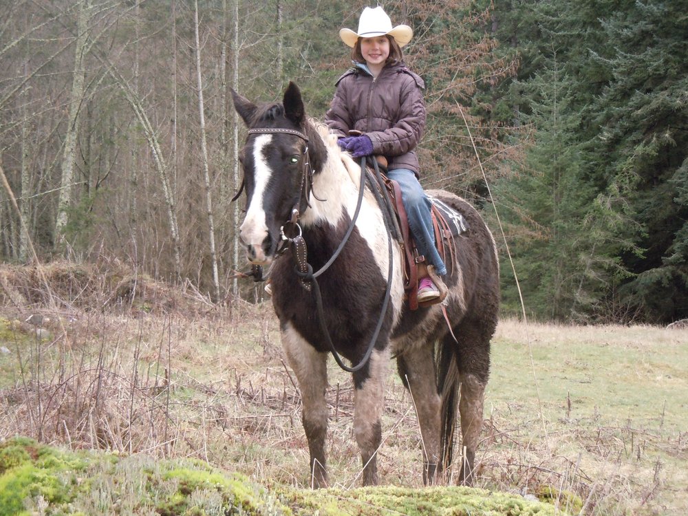 Horseback Riding Trail Rides Long Island Horseback Riding Trail Rides Long Island