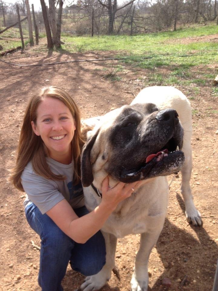 Barking Springs Dog Ranch Reviews Barking Springs Dog Ranch Reviews