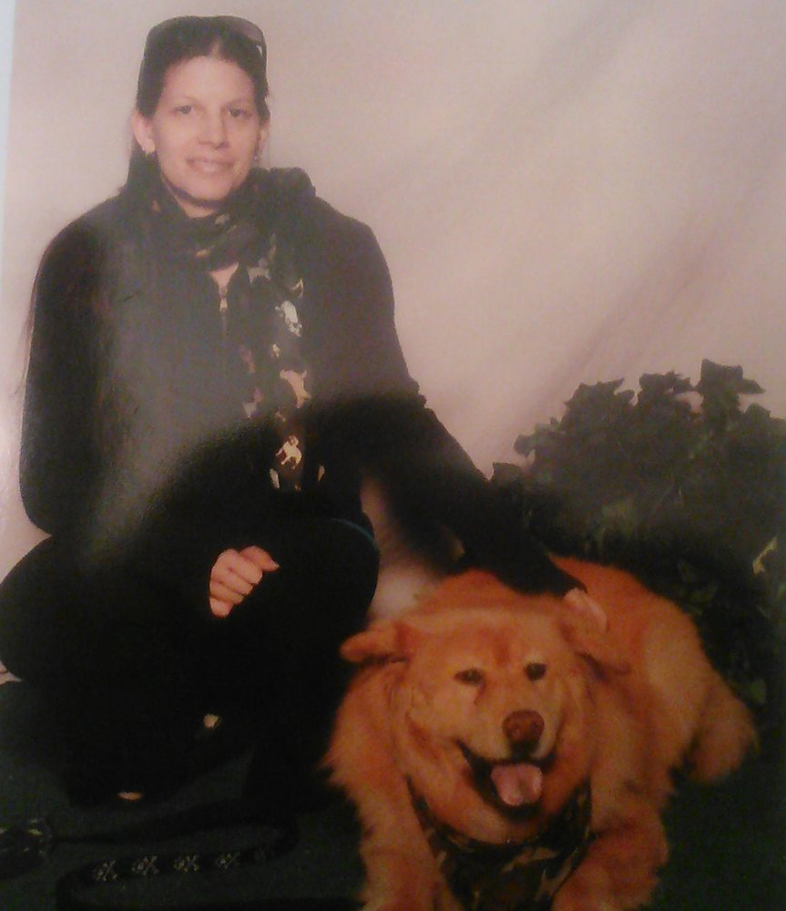 Toyota Dealers In Ri >> Furry Fellas Dog Walking & Pet Sitting Service - 58 Photos ... Toyota Dealers In Ri >> Furry Fellas Dog Walking & Pet Sitting Service - 58 Photos ...